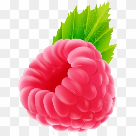 Png Clip Art Image - Raspberry Clipart Png, Transparent Png - berry png