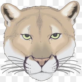 Cougar Face Drawing , Png Download - Carmel Middle School Cougar, Transparent Png - cougar png