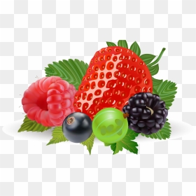 Strawberry Clipart Realistic - Berries Clipart, HD Png Download - berry png