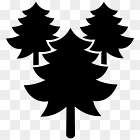 Pines Trees Forest - Portable Network Graphics, HD Png Download - forest tree png