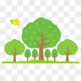 Trees Forest Bird Clipart - みどり の 日, HD Png Download - forest tree png