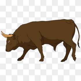 Bull Clipart, HD Png Download - bull head png