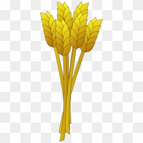 Cartoon Wheat Transparent Background, HD Png Download - wheat stalk png