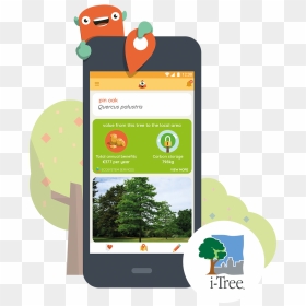 Smartphone, HD Png Download - forest tree png