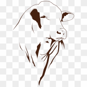 Illustration, HD Png Download - bull head png