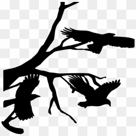 Three Crows Raven - Crow On Branch Silhouette, HD Png Download - crows png