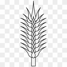 Clip Art, HD Png Download - wheat stalk png