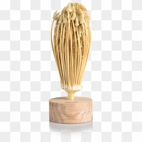 Rivsalt Toothpick Plant, HD Png Download - toothpick png