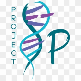 Project 8p, HD Png Download - chromosome png