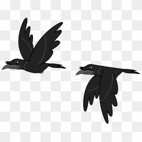 Andoanimalia, Bird, Crow, Duo, Family Appreciation - Crows, HD Png Download - crows png