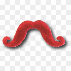 Illustration, HD Png Download - bigote png