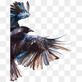 Clipart Freeuse Download Common Raven Bird Painting - Watercolor Crow, HD Png Download - crows png
