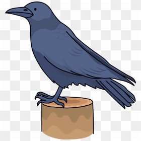 Crow Bird Clipart - Raven, HD Png Download - crows png