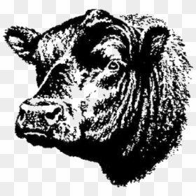 Angus Beef, HD Png Download - bull head png