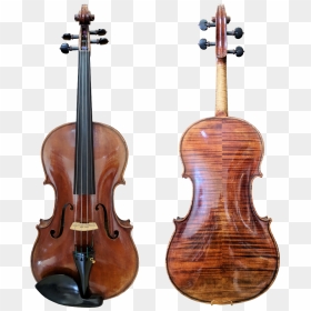Stefan Petrov Superior Viola Atlantic Strings - Violin, HD Png Download - viola png