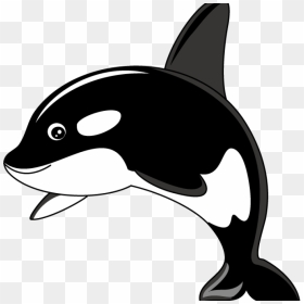 Orca Whale Clipart Orca Whale Clipart Clipart Panda - Seaworld Family T Shirt, HD Png Download - orca png