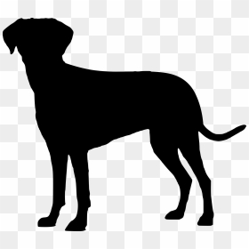 Labrador Retriever Funny Quotes, HD Png Download - pet png