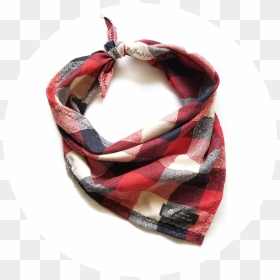 Scarf, HD Png Download - blue bandana png