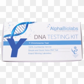 Y Chromosome Test, HD Png Download - chromosome png