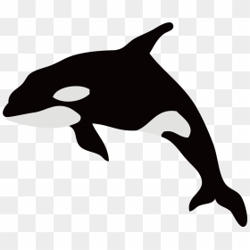 Dolphin Killer Whale Illustration Whales Silhouette - Transparent Killer Whale Silhouette, HD Png Download - orca png
