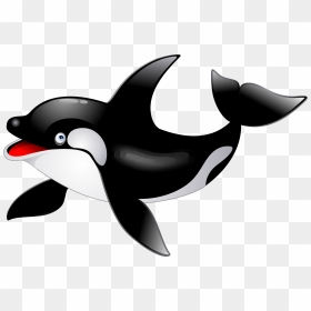 Killer Whale Png - Orca Killer Whale Clipart, Transparent Png - orca png