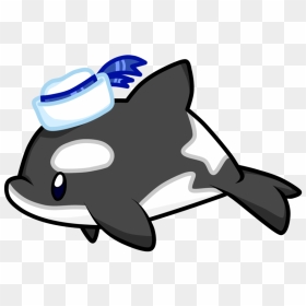 Uuu A Magical By Clipart Freeuse Stock - Cute Killer Whale Drawing, HD Png Download - orca png