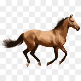 Thumb Image - Horse Png, Transparent Png - caballo png