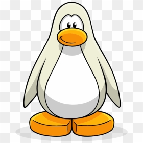 Club Penguin Wiki - Club Penguin Png Transparent, Png Download - vhv