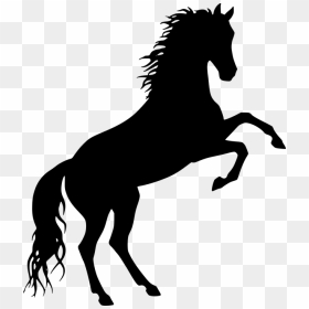 Horse Silhouette, HD Png Download - caballo png