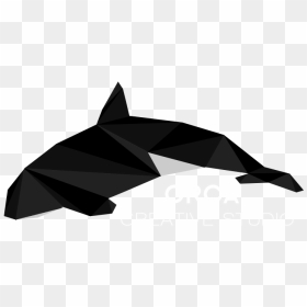 Little Animations Creative Studio - Graphic Design Orca, HD Png Download - orca png