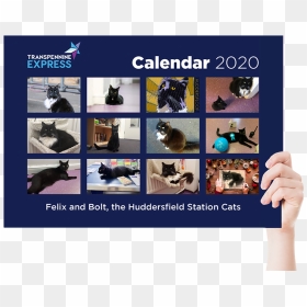 Felix The Huddersfield Station Cat Calendar 2020, HD Png Download - felix the cat png