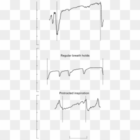 Diagram, HD Png Download - breath png