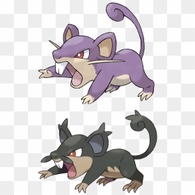 Cute Rattata Pokemon , Png Download - Cute Rattata, Transparent Png - vhv