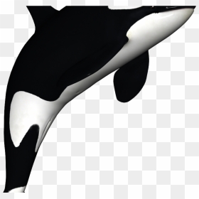Orca Clip Art - Transparent Killer Whale Clipart, HD Png Download - orca png
