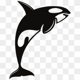Orca Silhouette Clip Art - Orca Vector, HD Png Download - orca png