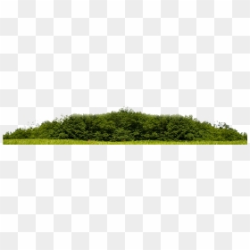 Grass, HD Png Download - miami skyline png
