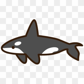 Killer Whale Orca Clipart, HD Png Download - orca png