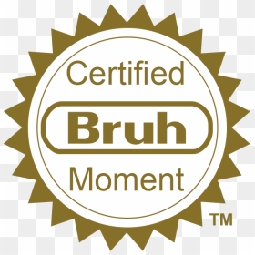 Certified Bruh Moment Meme, HD Png Download - bruh png