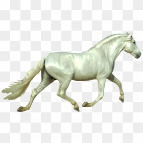 Morfologia Del Caballo De Pura Raza Espa隳l - Stallion, HD Png Download - caballo png