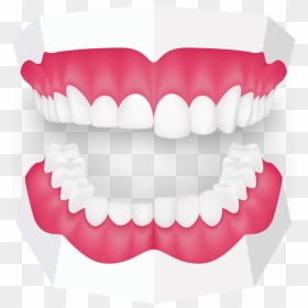 Tooth Grinding Toothbeary - Heath Street Dental, HD Png Download - buck teeth png