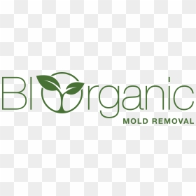 Biorganic Mold Removal Logo, HD Png Download - mold png