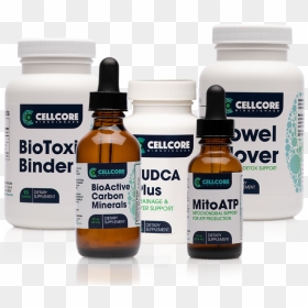 Phase 1 Product Img 702a6886 4a51 4256 8001 4ae7a04636eb - Health, HD Png Download - mold png