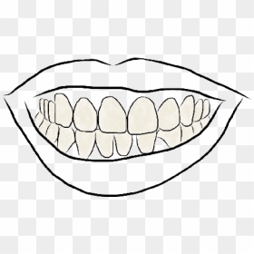 Drawing Teeth Smile - Teeth Drawing Png, Transparent Png - buck teeth png