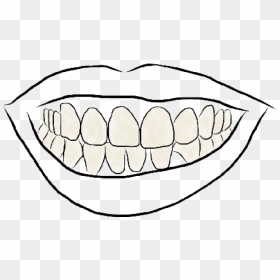 Drawing Teeth Smile - Teeth Drawing Png, Transparent Png - buck teeth png