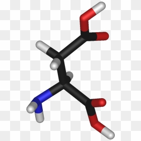 L Aspartic Ac, HD Png Download - sticks png