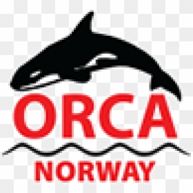 Orca Norway Logo, HD Png Download - orca png