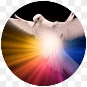 High Resolution Holy Spirit, HD Png Download - dios png