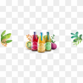 Sodas 100% Naturales 100% Colombianas - Glass Bottle, HD Png Download - sodas png