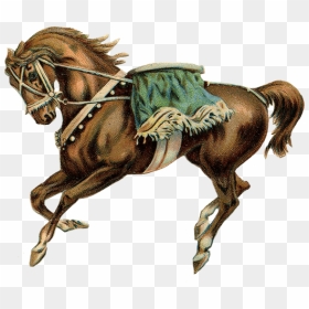 Caballo De Circo Silla De Montar Verde - Horse With Saddle Png, Transparent Png - caballo png