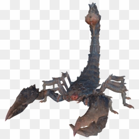 Fallout 4 Radscorpion Hunter, HD Png Download - stalker png